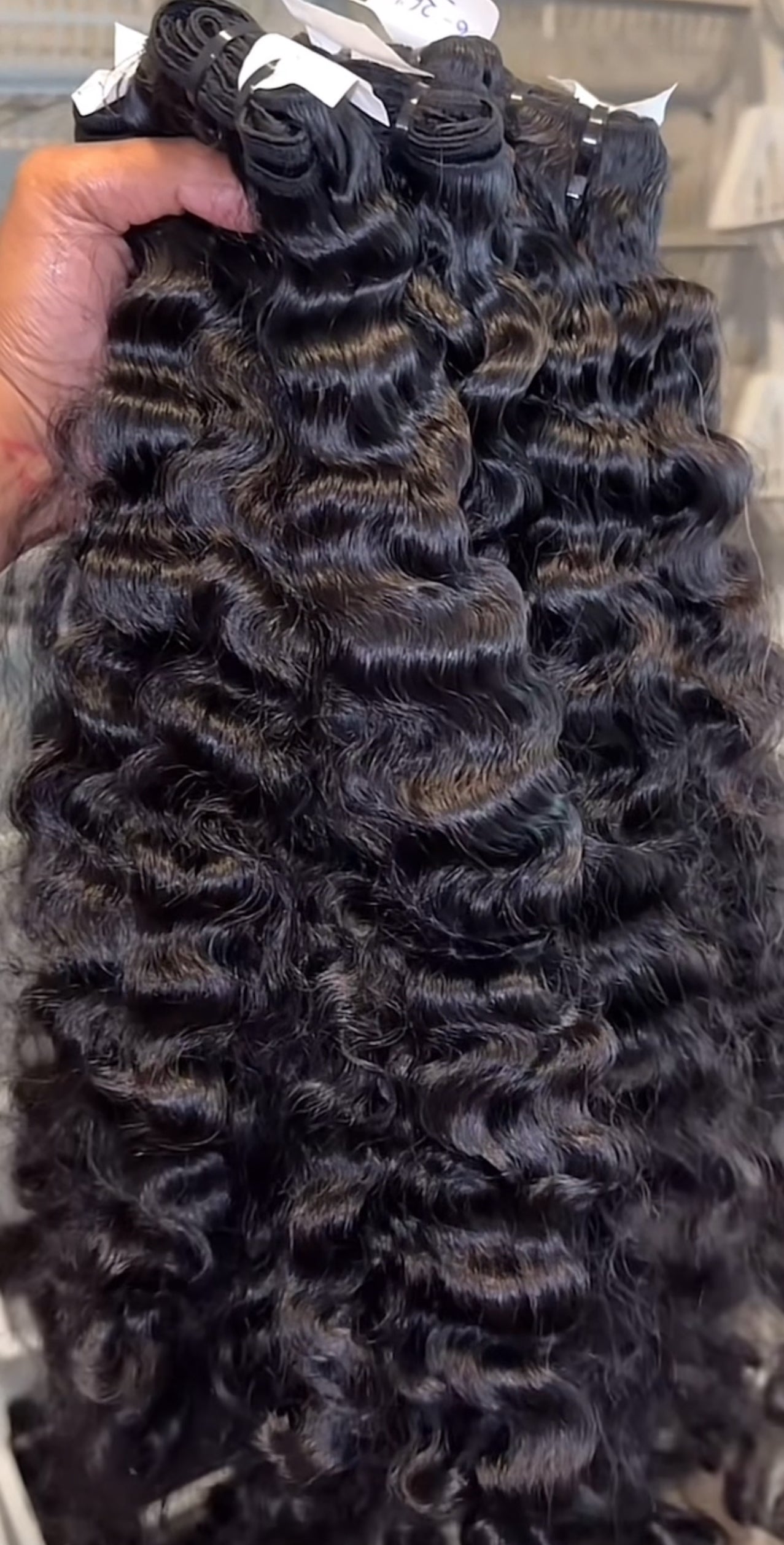 Raw Burmese Curly